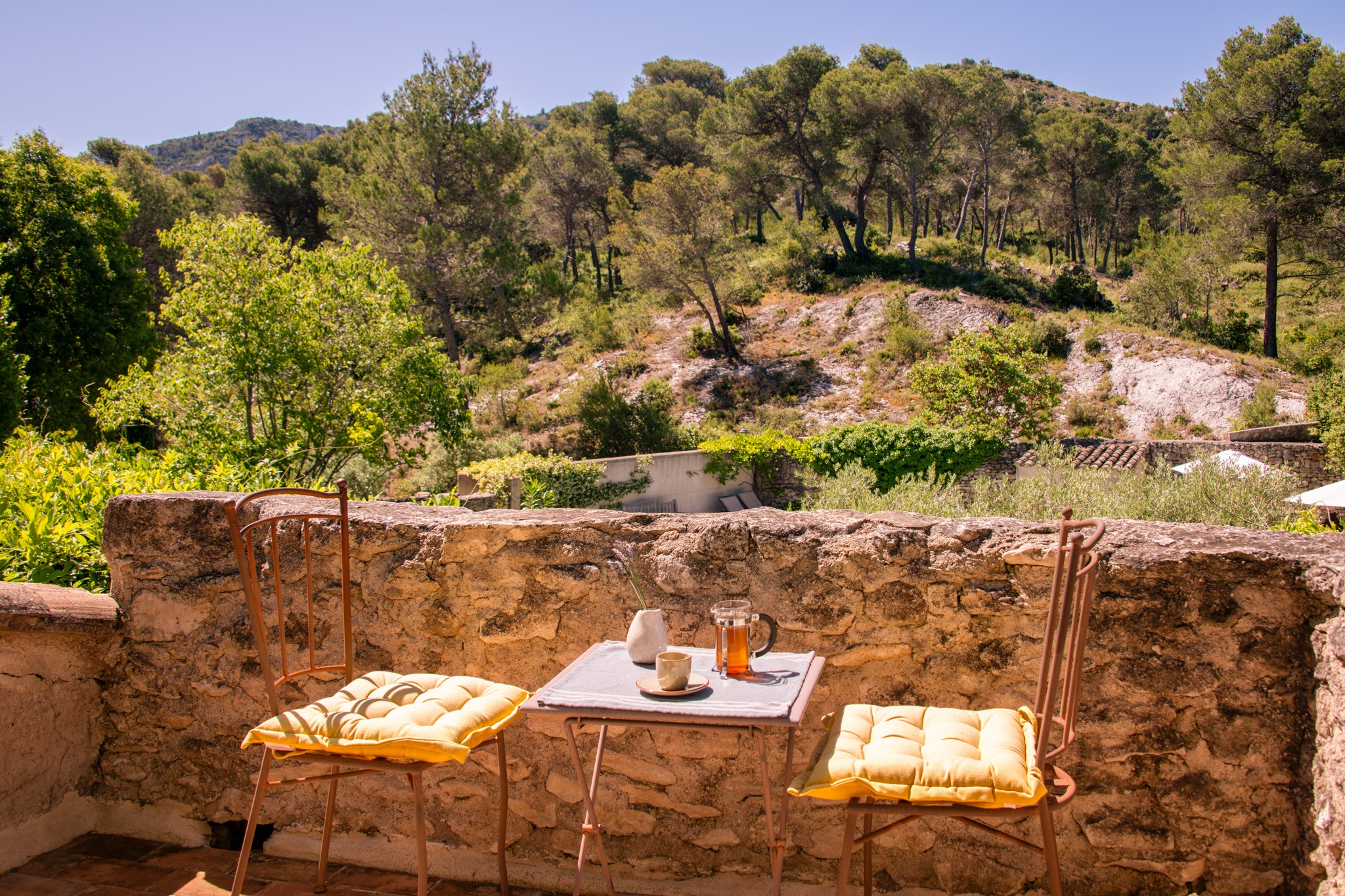 Mas Bucolique Luxury Villa in Provence