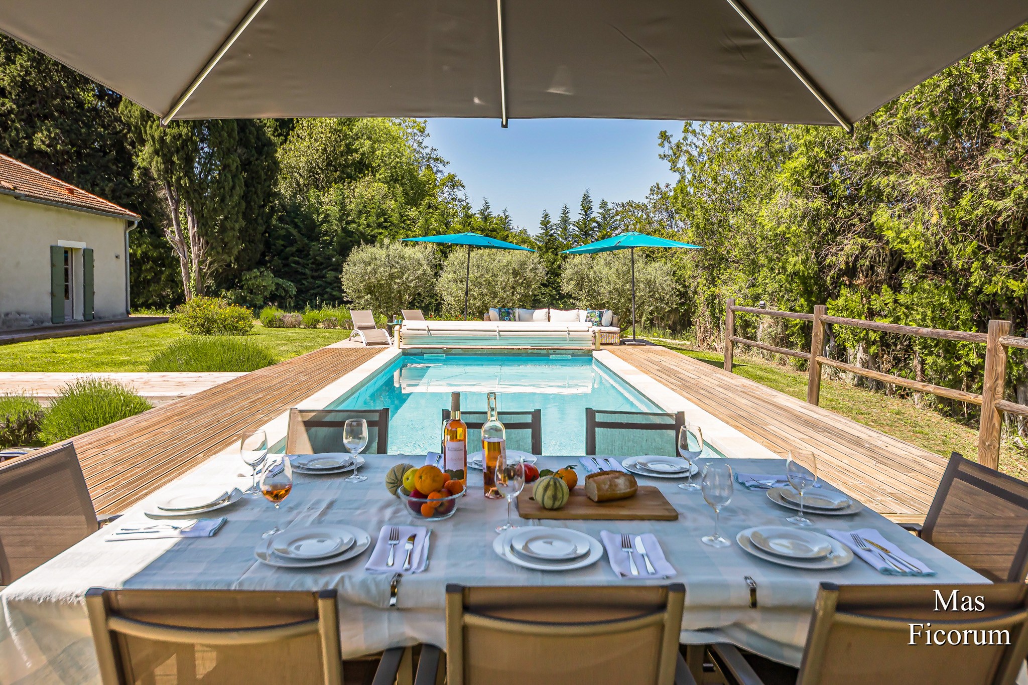 Mas Ficorum Premium Villa in Provence