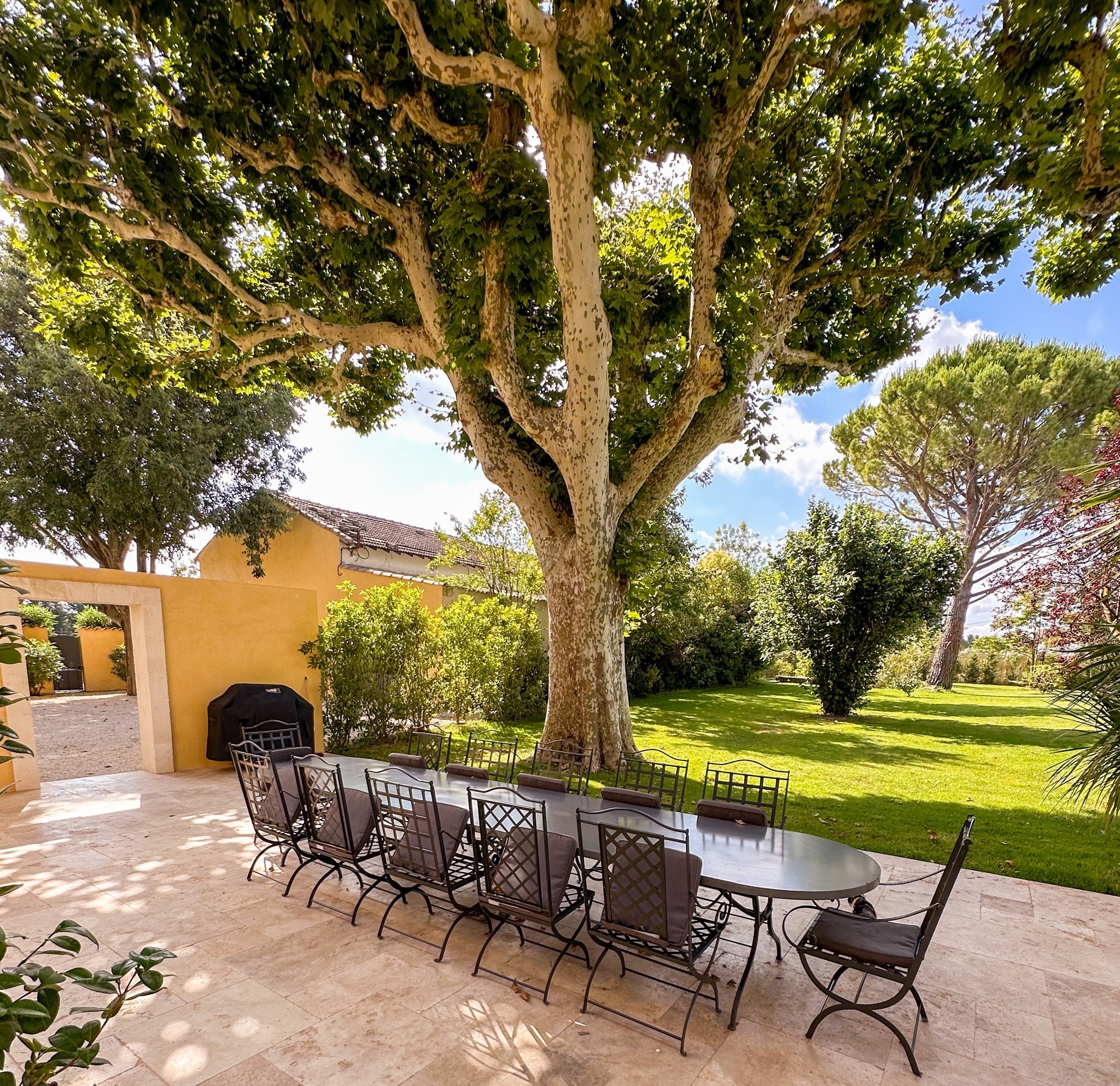 Mas des Vignes Prestigious Villa