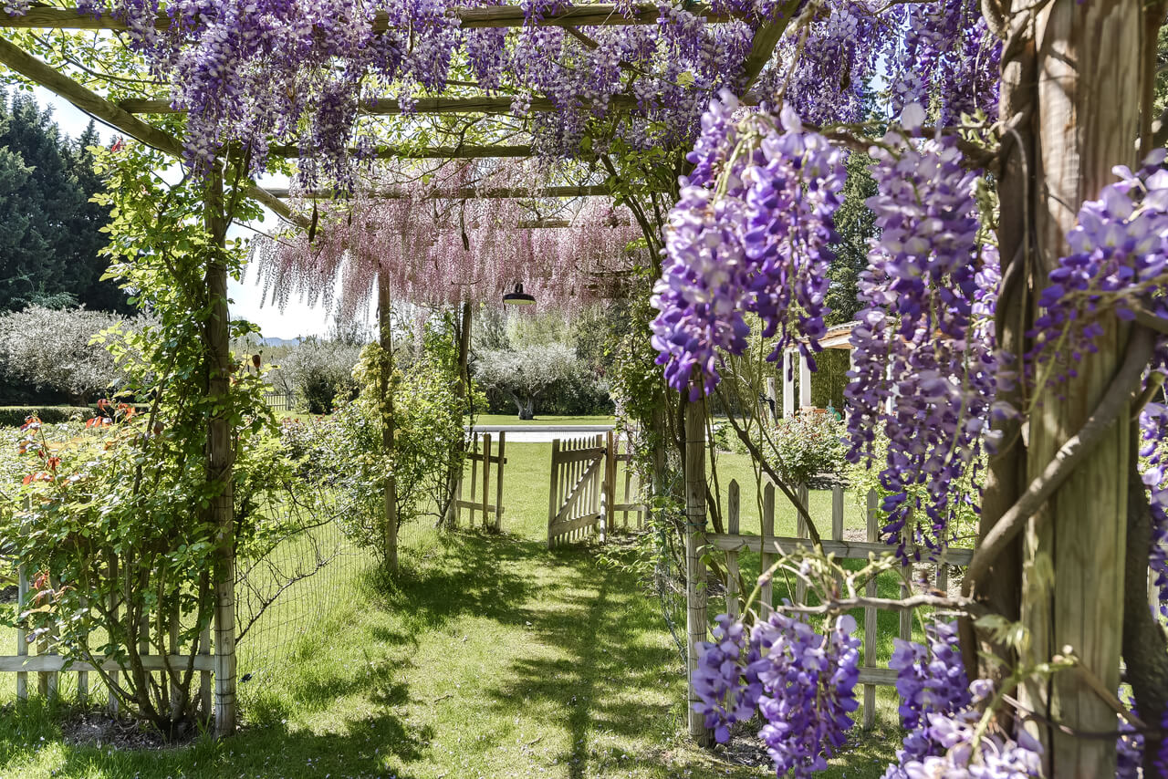 Mas Paradis Luxury Villa in Provence