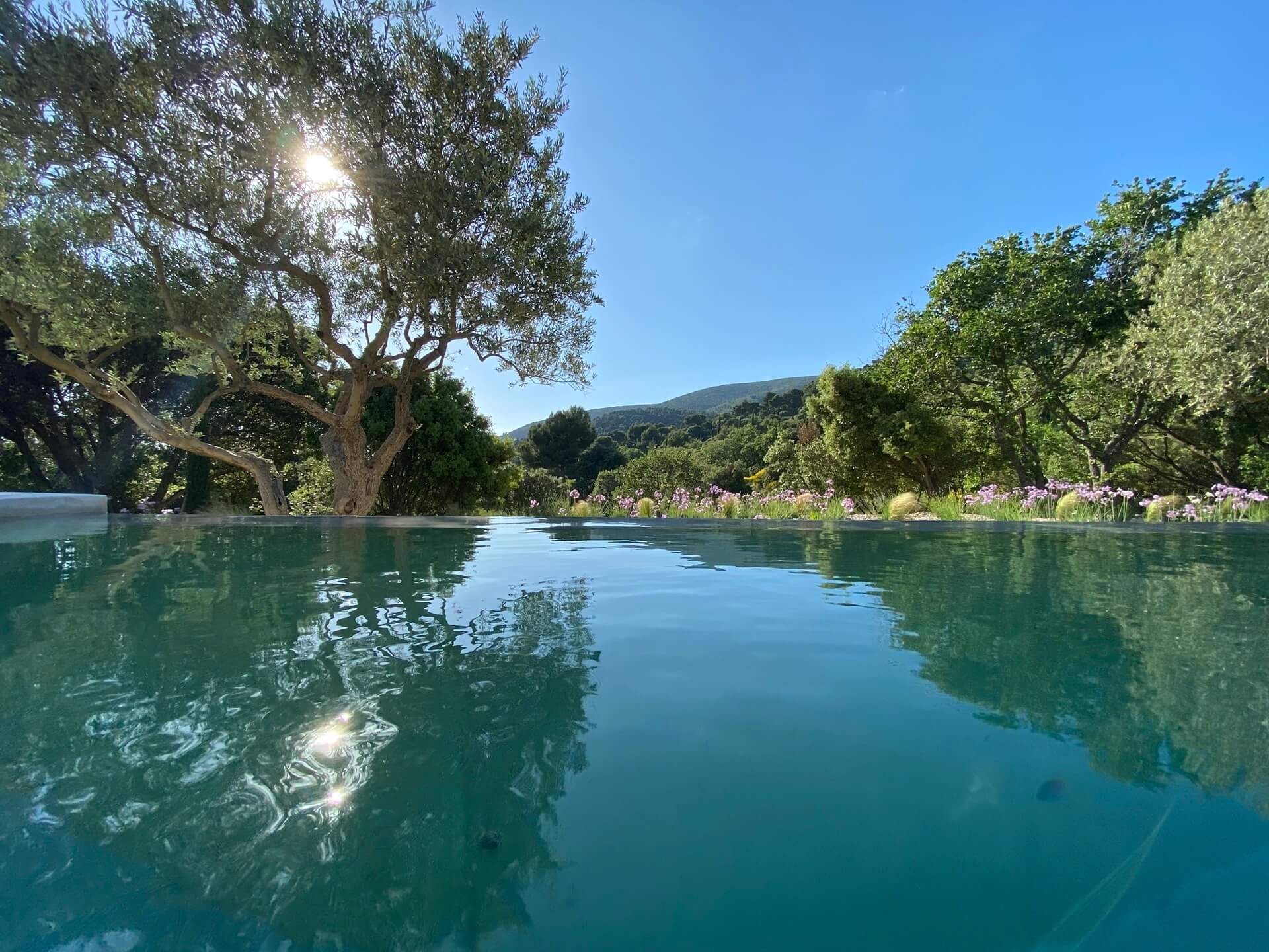 Villa Beneche Premium Villa in Provence