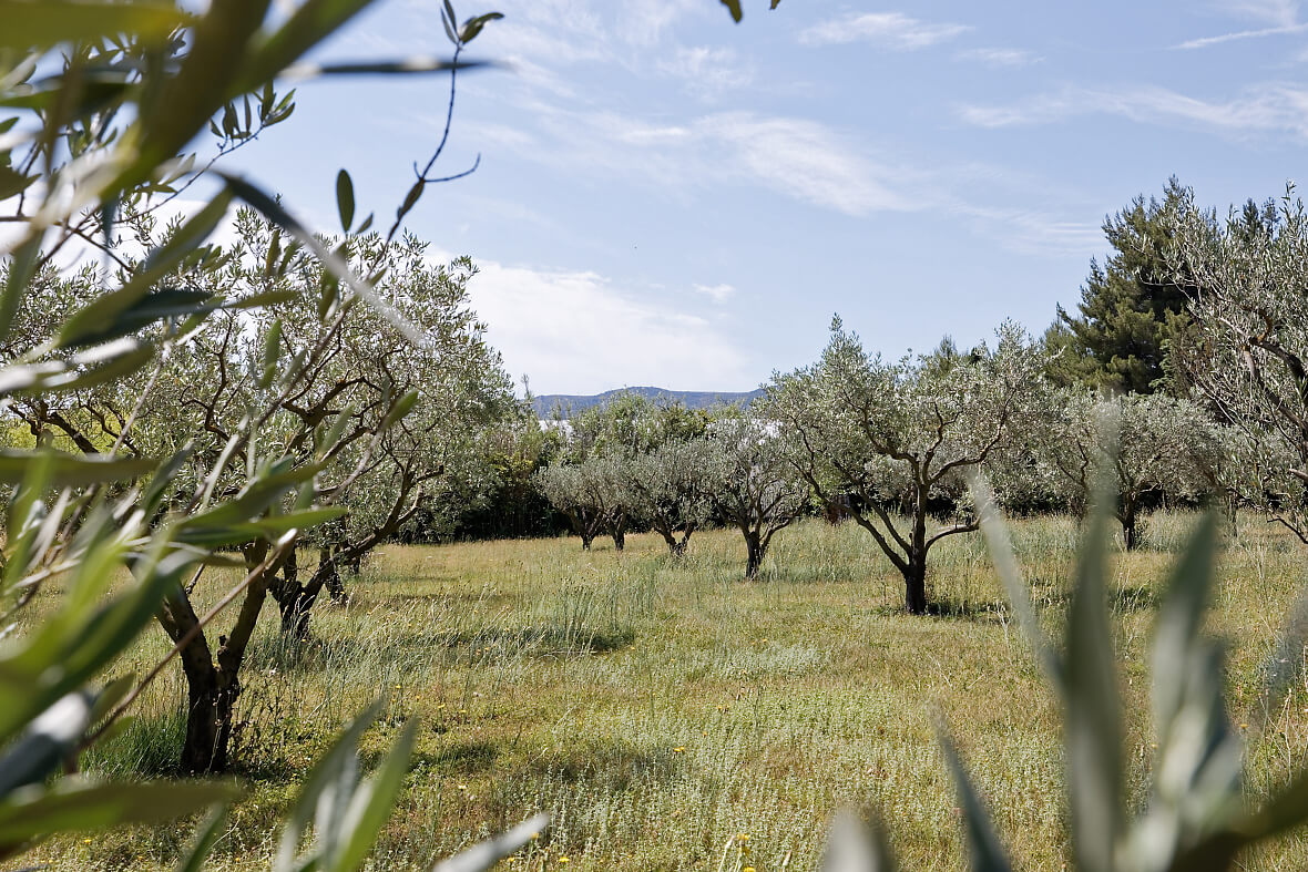 Mas Manica Premium Villa in Provence