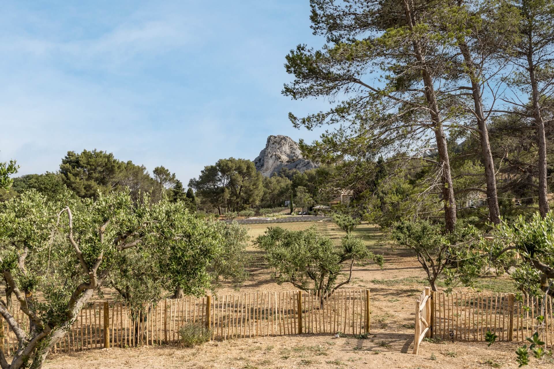 Mas du Lac Luxury Villa in Provence
