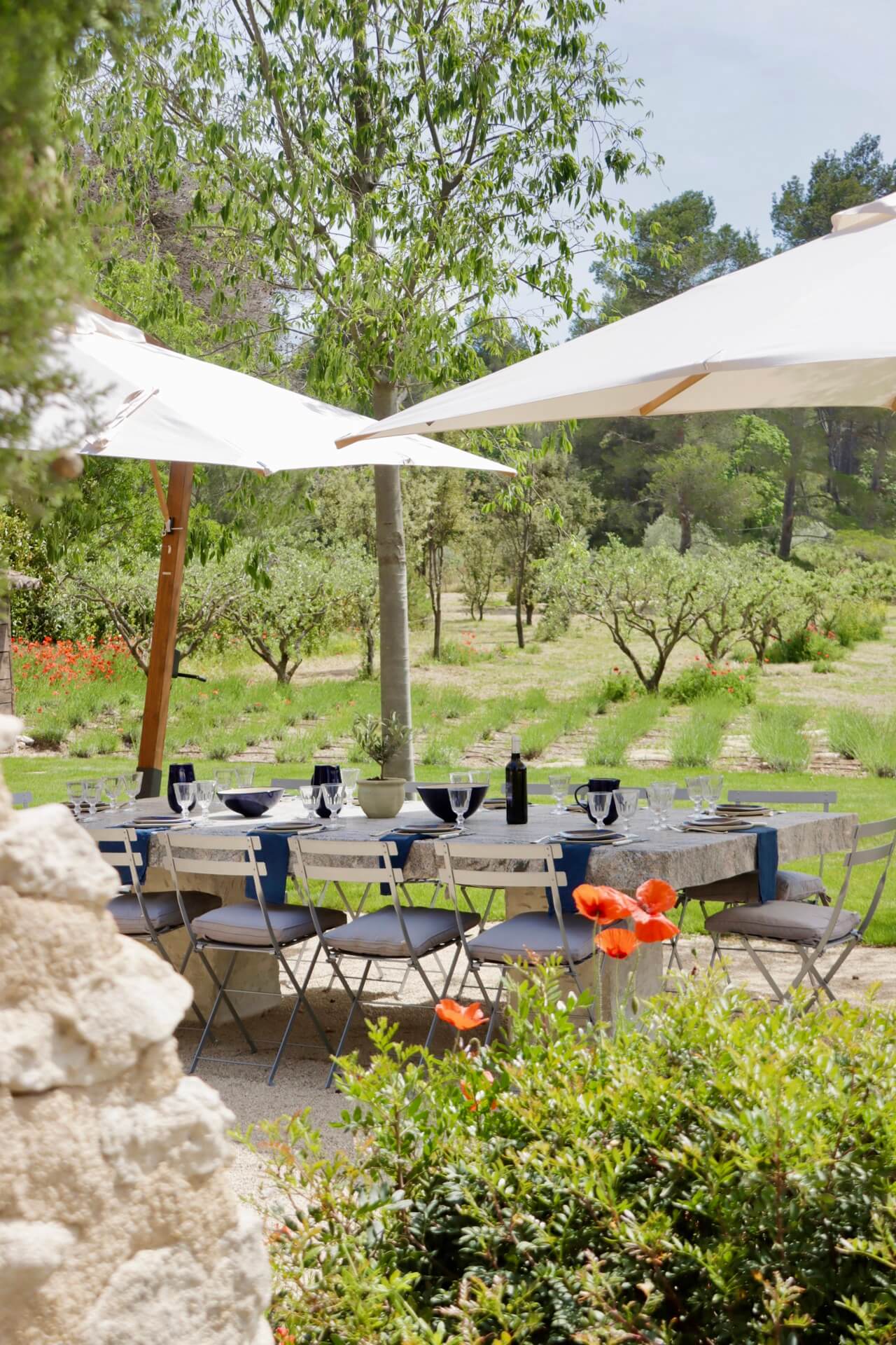 Mas du Lac Luxury Villa in Provence