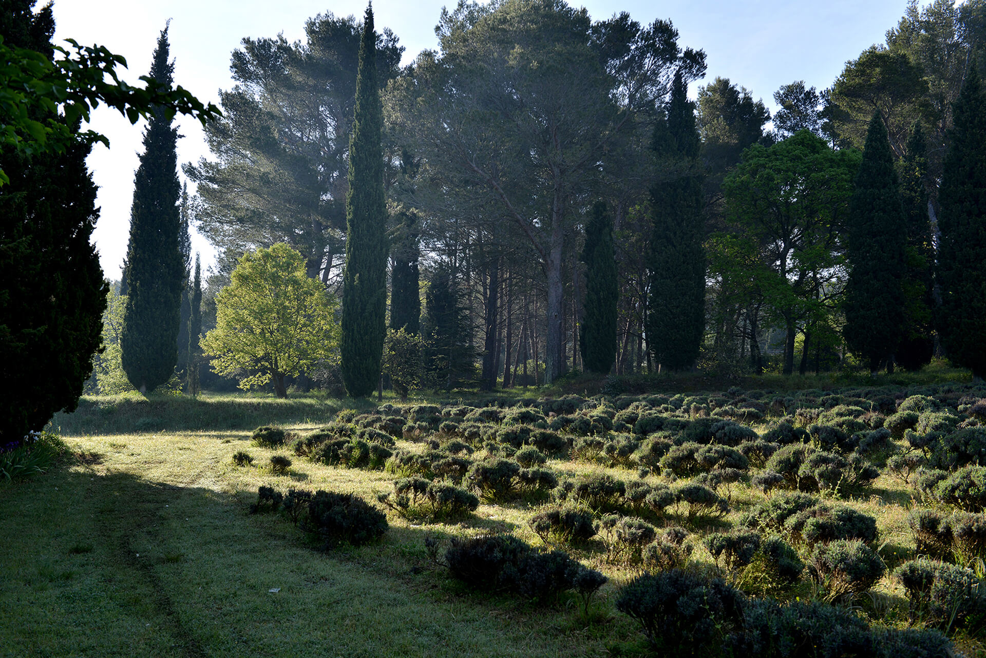 Mas Bellile Luxury Villa in Provence