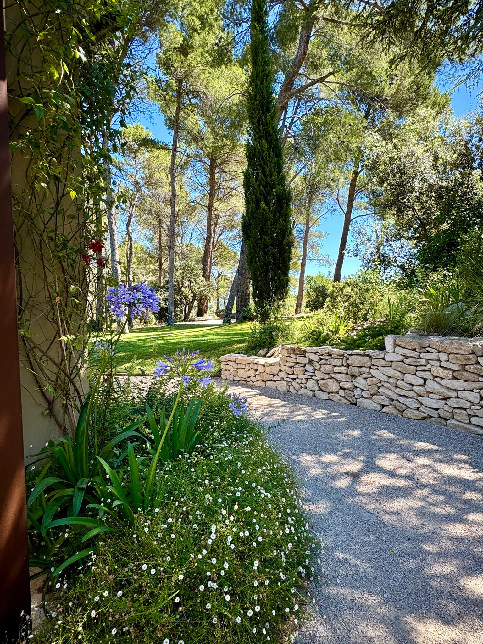 Jardin sous les arbres du Mas de Rampale maison provence
