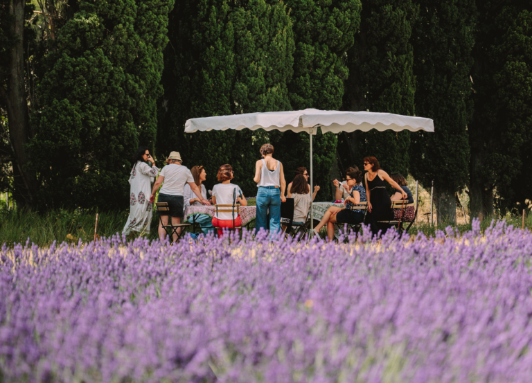 Atelier Fuseaux de Lavande - Lavender Spindles Workshop