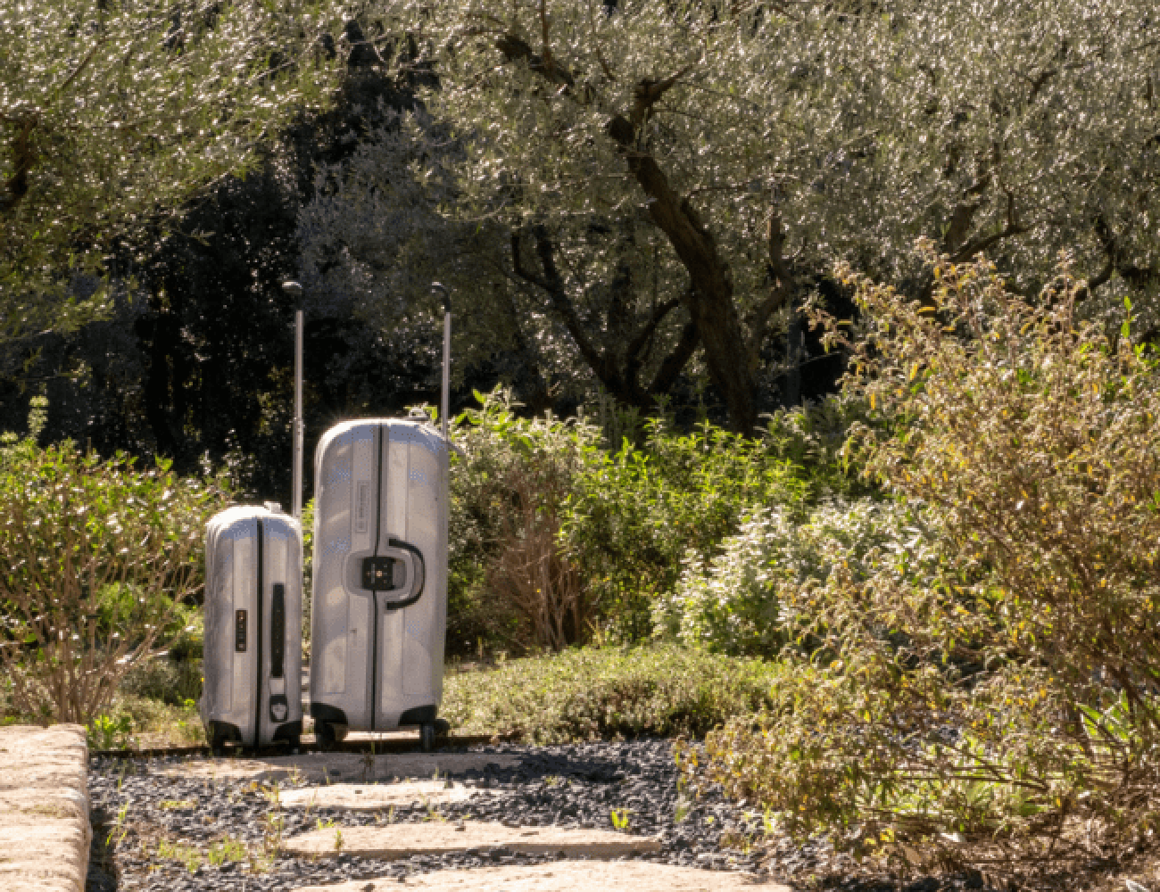 Valises des vacanciers dans le jardin de la villa provençale