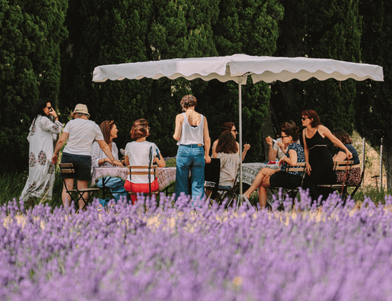 La Provence toute l’année : Profitez des saisons avec Lou Mas